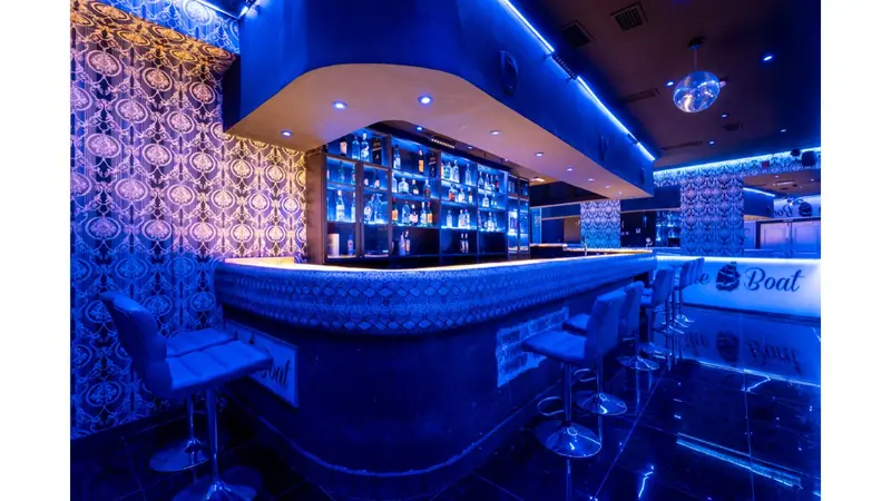 Lokal użytkowy 236 m²